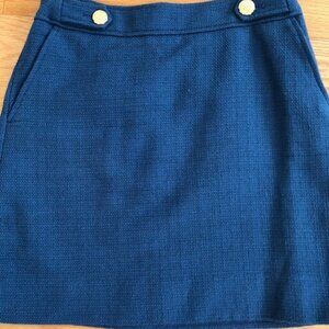 Ann Taylor A-line Skirt 4P (NWT)
